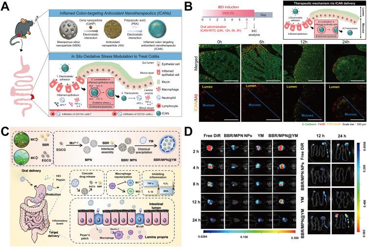 https://cdn.ncbi.nlm.nih.gov/pmc/blobs/d952/11375318/8446dc89b214/gr6.jpg