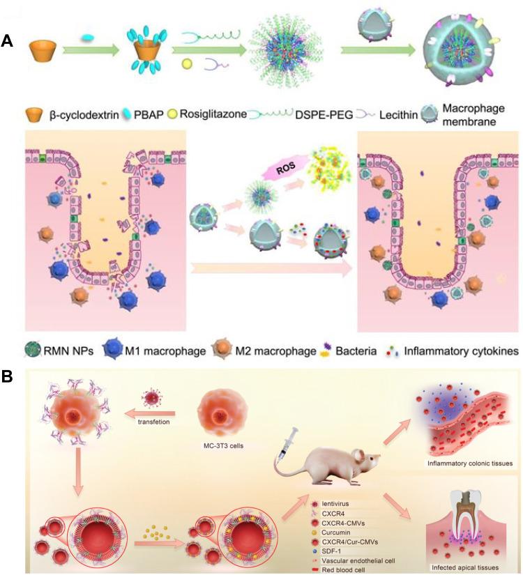 https://cdn.ncbi.nlm.nih.gov/pmc/blobs/d952/11375318/b9b09cf7f9ae/gr7.jpg