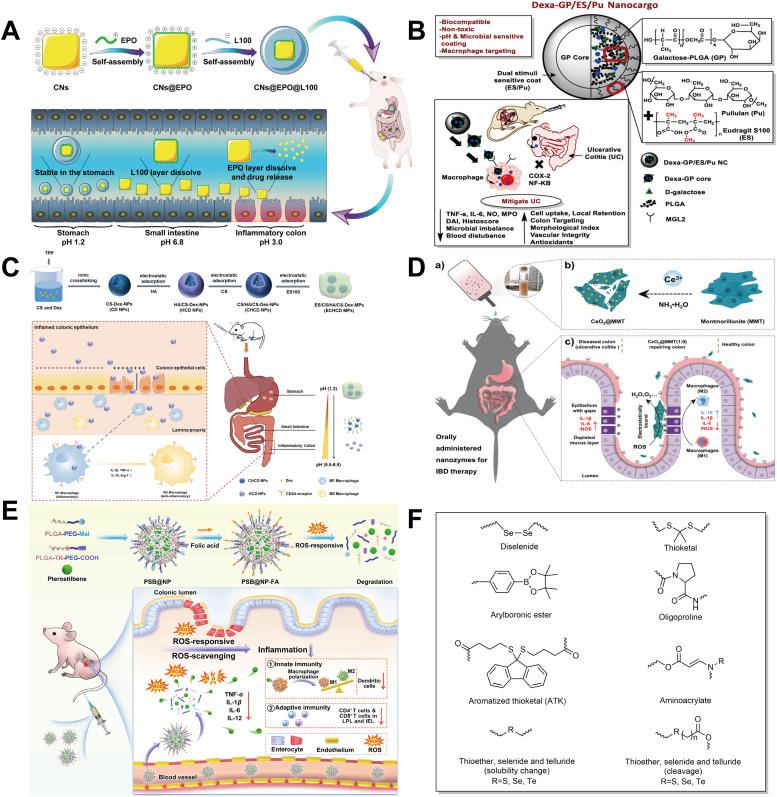 https://cdn.ncbi.nlm.nih.gov/pmc/blobs/d952/11375318/f68186924b6d/gr3.jpg
