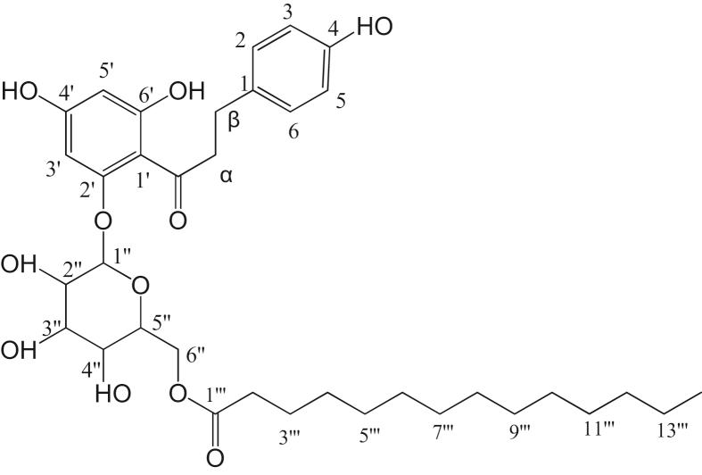 https://cdn.ncbi.nlm.nih.gov/pmc/blobs/d952/6543077/69a5f13cc025/gr2.jpg