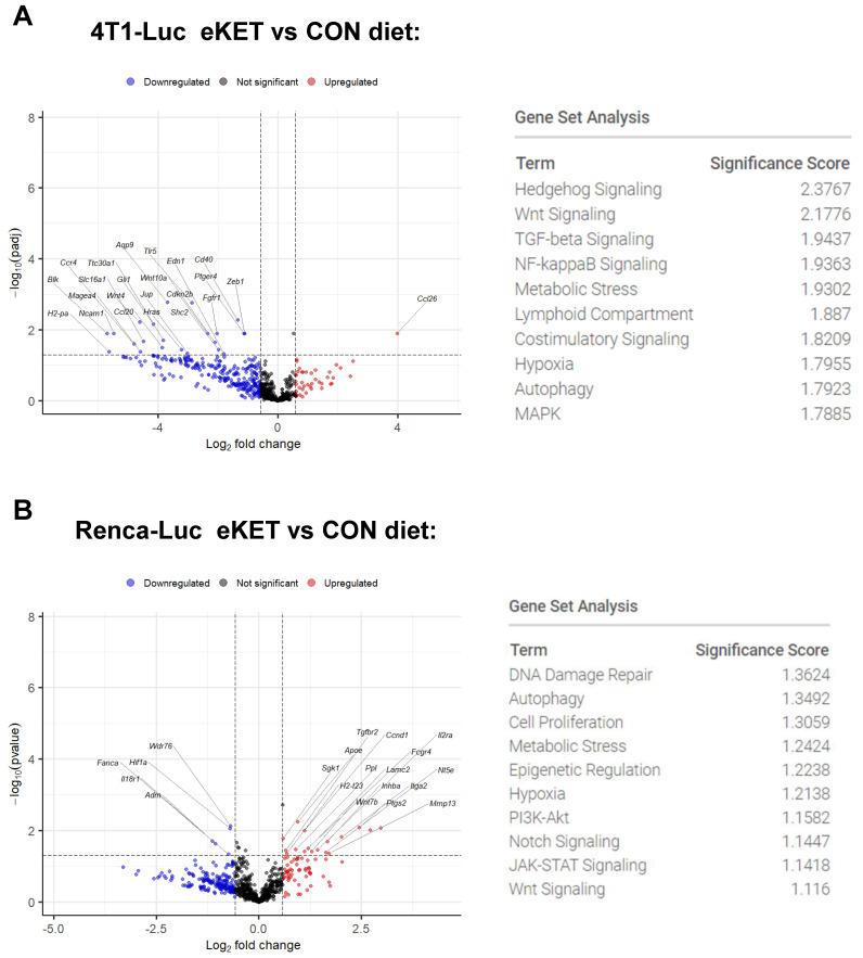 https://cdn.ncbi.nlm.nih.gov/pmc/blobs/d955/11476193/9dc0d1a51258/cancers-16-03390-g005.jpg