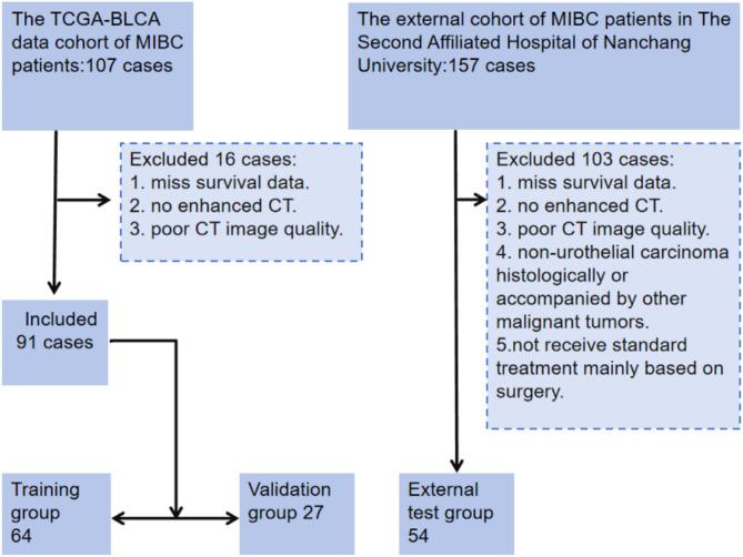 https://cdn.ncbi.nlm.nih.gov/pmc/blobs/d958/12211729/162b220e2c7e/12885_2025_14279_Fig1_HTML.jpg