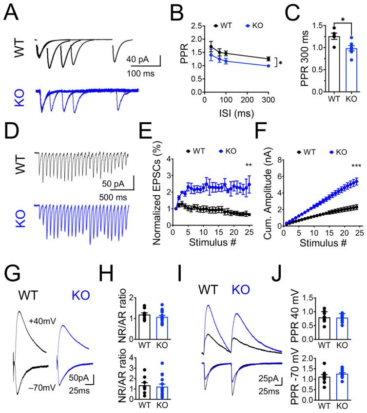 https://cdn.ncbi.nlm.nih.gov/pmc/blobs/d959/9688914/76a1db34e465/cells-11-03646-g002.jpg