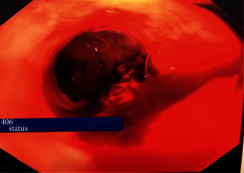 https://cdn.ncbi.nlm.nih.gov/pmc/blobs/d95a/7954638/1f4c9a42808a/CRIGM2021-8896489.001.jpg