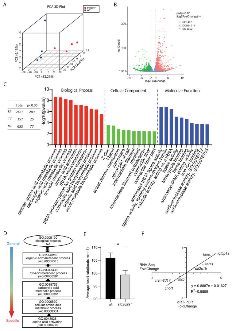 https://cdn.ncbi.nlm.nih.gov/pmc/blobs/d95a/9025135/154f810065b3/ijms-23-04200-g003.jpg
