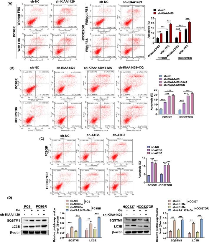 https://cdn.ncbi.nlm.nih.gov/pmc/blobs/d95c/10995705/ab78febc3e29/FBA2-6-105-g009.jpg