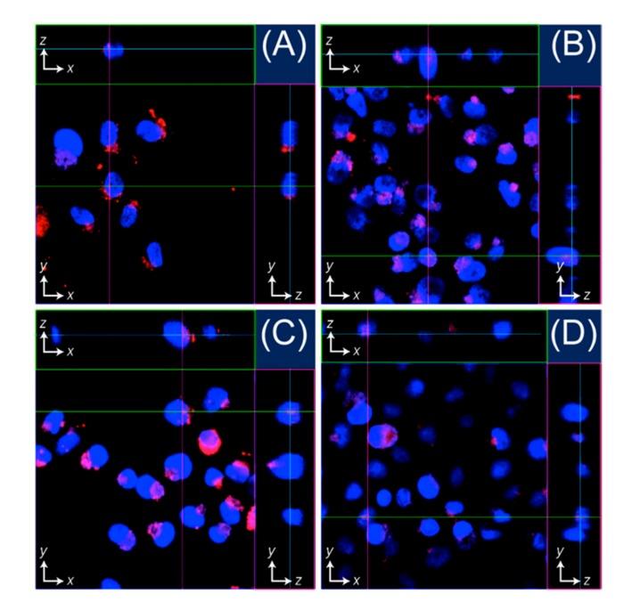 https://cdn.ncbi.nlm.nih.gov/pmc/blobs/d95d/6150382/fd17bdd61875/molecules-22-01916-g004.jpg