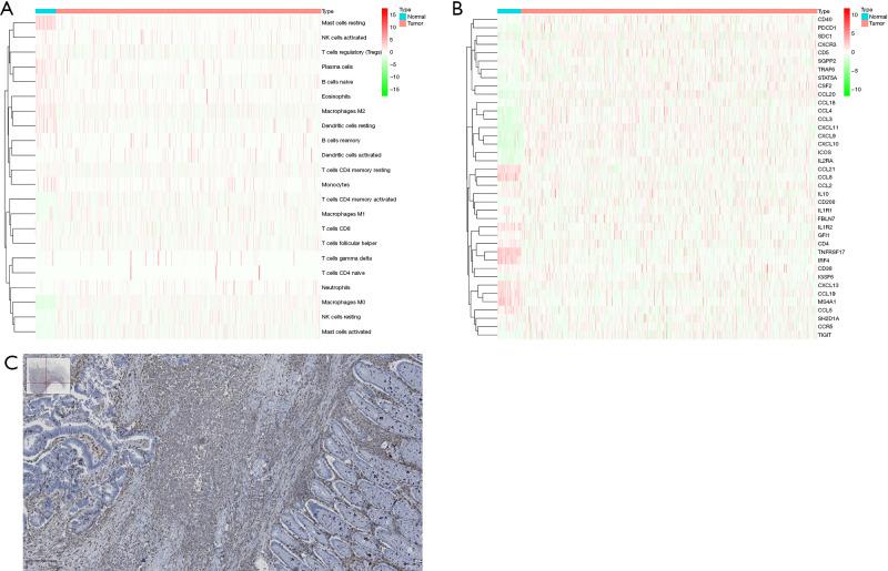 https://cdn.ncbi.nlm.nih.gov/pmc/blobs/d95f/12078838/254e9490a269/jgo-16-02-386-f1.jpg