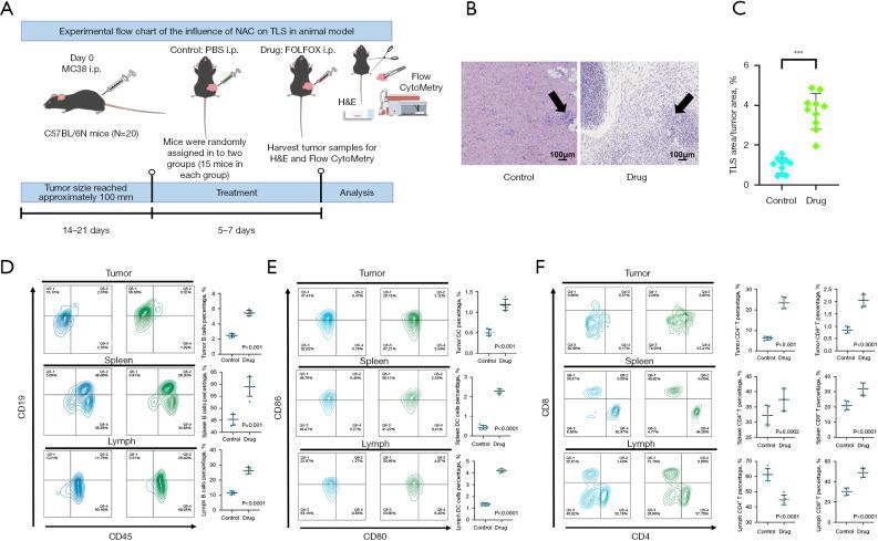 https://cdn.ncbi.nlm.nih.gov/pmc/blobs/d95f/12078838/3e12bcd85cc7/jgo-16-02-386-f7.jpg