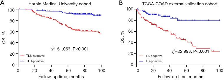 https://cdn.ncbi.nlm.nih.gov/pmc/blobs/d95f/12078838/40648411a67a/jgo-16-02-386-f4.jpg
