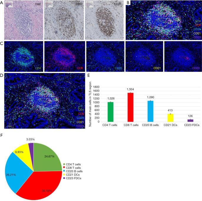 https://cdn.ncbi.nlm.nih.gov/pmc/blobs/d95f/12078838/4dfdd563ab76/jgo-16-02-386-f2.jpg