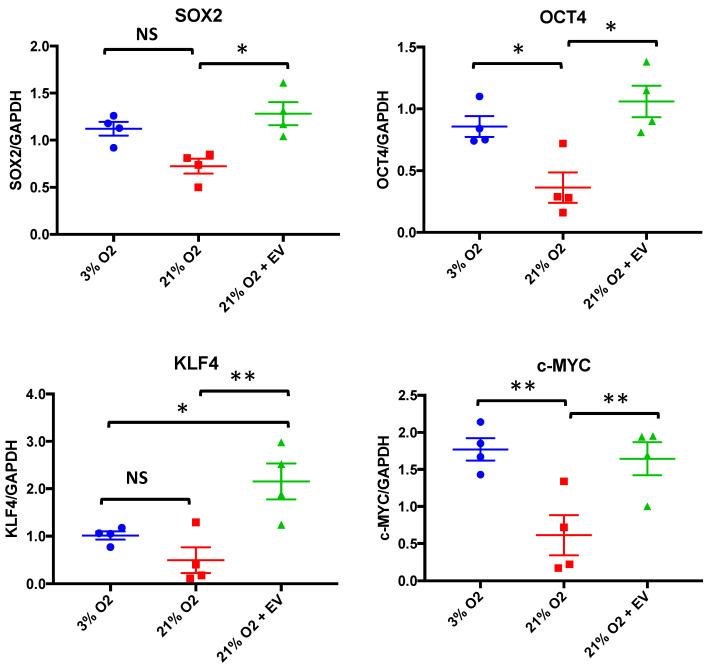 https://cdn.ncbi.nlm.nih.gov/pmc/blobs/d95f/7357081/458200f69ee7/biomolecules-10-00957-g004.jpg