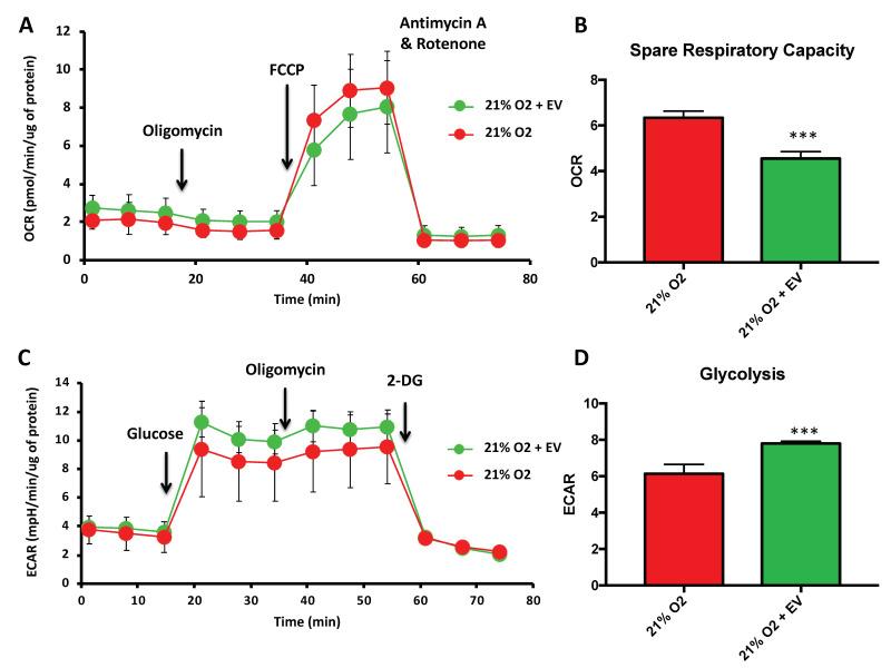 https://cdn.ncbi.nlm.nih.gov/pmc/blobs/d95f/7357081/fc7b7965e126/biomolecules-10-00957-g003.jpg