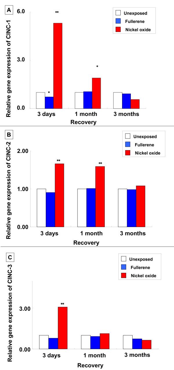 https://cdn.ncbi.nlm.nih.gov/pmc/blobs/d963/2848185/6af29e579b54/1743-8977-7-4-10.jpg