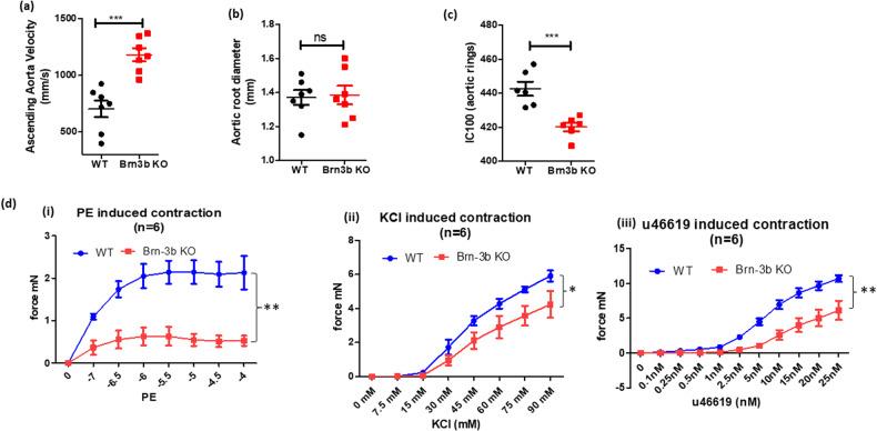 https://cdn.ncbi.nlm.nih.gov/pmc/blobs/d966/10676411/34be82b89713/41419_2023_6306_Fig3_HTML.jpg