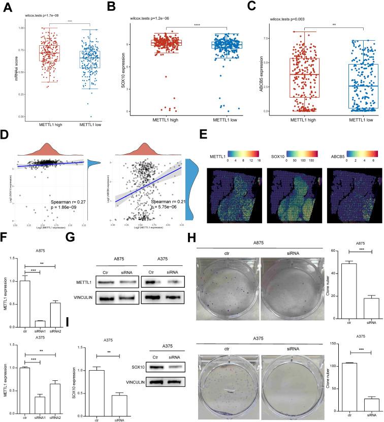 https://cdn.ncbi.nlm.nih.gov/pmc/blobs/d966/12119543/d0f8bfeacfce/fimmu-16-1575219-g003.jpg