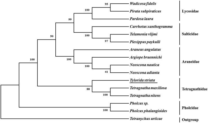https://cdn.ncbi.nlm.nih.gov/pmc/blobs/d966/7748817/26cb689097f5/TMDN_A_1698367_F0001_B.jpg