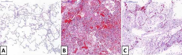 https://cdn.ncbi.nlm.nih.gov/pmc/blobs/d967/10825618/4f895434daba/gr3.jpg