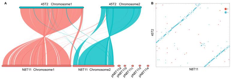 https://cdn.ncbi.nlm.nih.gov/pmc/blobs/d968/12114485/a73f0ce69e34/microorganisms-13-01129-g005.jpg