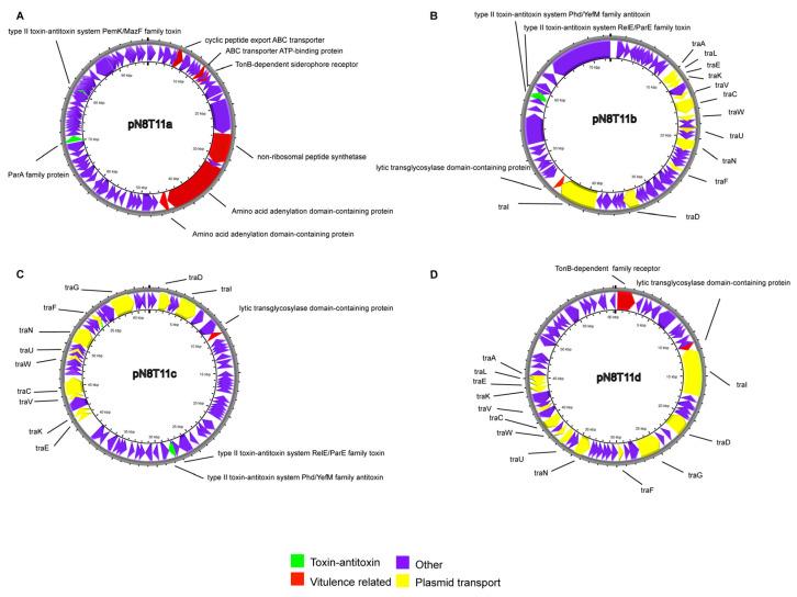 https://cdn.ncbi.nlm.nih.gov/pmc/blobs/d968/12114485/ed689a85f087/microorganisms-13-01129-g008.jpg
