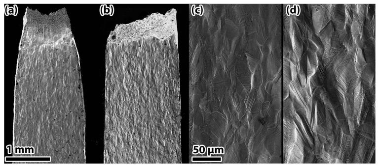 https://cdn.ncbi.nlm.nih.gov/pmc/blobs/d96a/12194925/639cf312b17d/materials-18-02862-g010.jpg