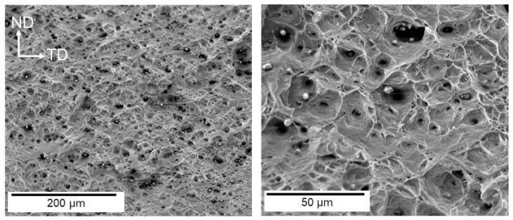 https://cdn.ncbi.nlm.nih.gov/pmc/blobs/d96a/12194925/ab54f3ab54cb/materials-18-02862-g007.jpg