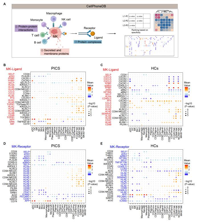 https://cdn.ncbi.nlm.nih.gov/pmc/blobs/d96d/12368530/a120cd486af5/t3.jpg