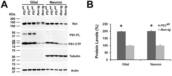 https://cdn.ncbi.nlm.nih.gov/pmc/blobs/d96d/3226664/2c45af6dc9f2/pone.0028179.g002.jpg
