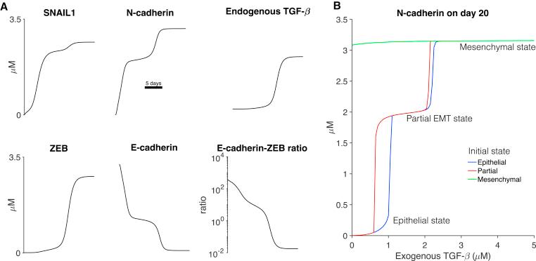 https://cdn.ncbi.nlm.nih.gov/pmc/blobs/d96d/7136288/58f126d037fe/gr2.jpg