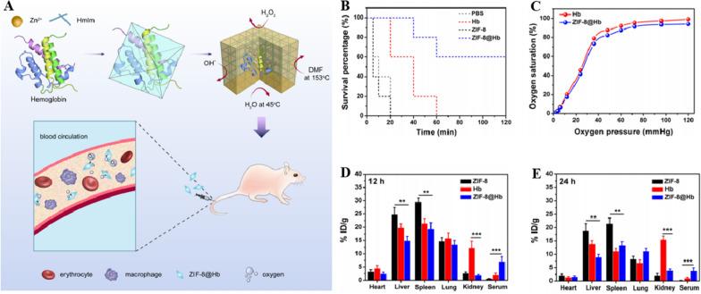 https://cdn.ncbi.nlm.nih.gov/pmc/blobs/d96e/11180412/1d318e977bd8/12951_2024_2606_Fig2_HTML.jpg