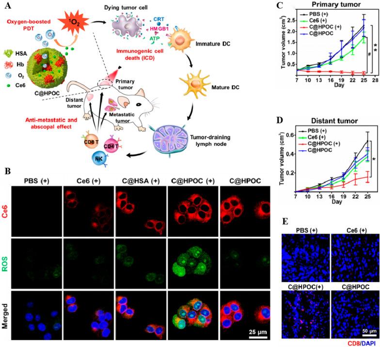 https://cdn.ncbi.nlm.nih.gov/pmc/blobs/d96e/11180412/88070ac99a3a/12951_2024_2606_Fig6_HTML.jpg