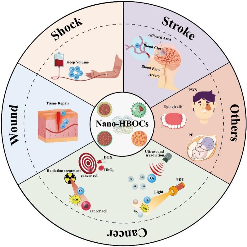 https://cdn.ncbi.nlm.nih.gov/pmc/blobs/d96e/11180412/bc10bd888b95/12951_2024_2606_Fig1_HTML.jpg