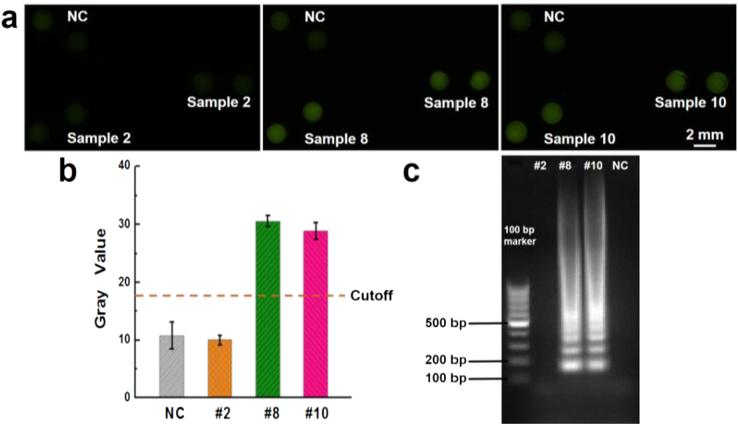 https://cdn.ncbi.nlm.nih.gov/pmc/blobs/d973/6537521/e8a5388d68bf/gr4.jpg