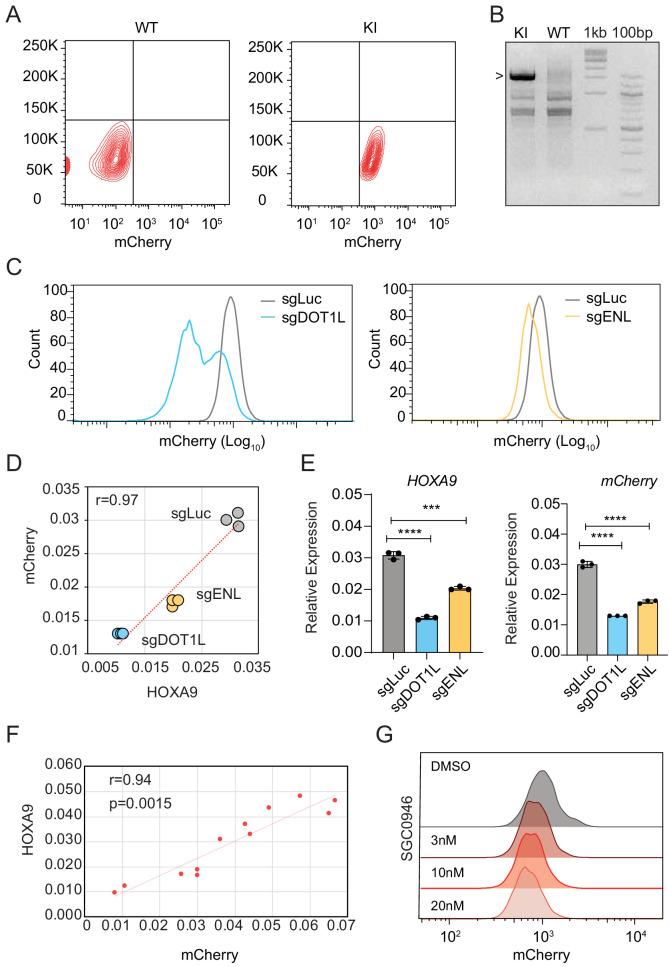 https://cdn.ncbi.nlm.nih.gov/pmc/blobs/d975/7599066/606ff5ec3352/elife-57858-fig2-figsupp1.jpg