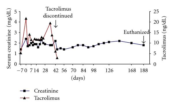 https://cdn.ncbi.nlm.nih.gov/pmc/blobs/d976/3246790/06d0c5df9144/JTRAN2011-928759.004.jpg