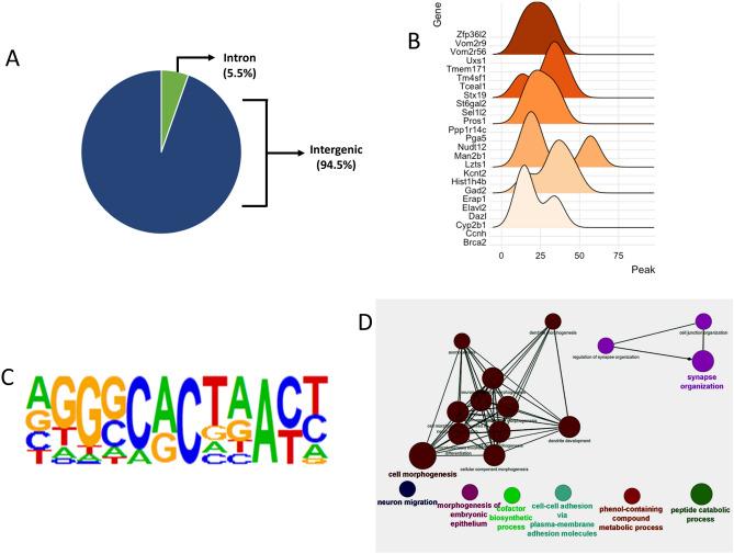 https://cdn.ncbi.nlm.nih.gov/pmc/blobs/d976/8742130/1aa61a5f7655/41598_2021_3863_Fig4_HTML.jpg