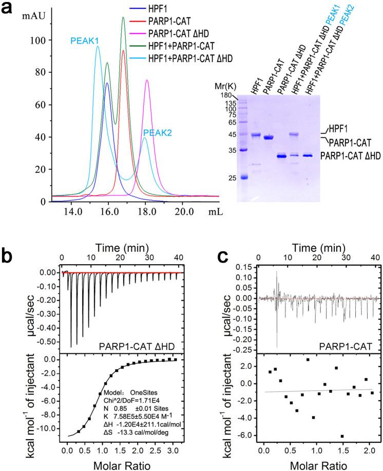 https://cdn.ncbi.nlm.nih.gov/pmc/blobs/d978/7884425/c3817e271718/41467_2021_21302_Fig1_HTML.jpg