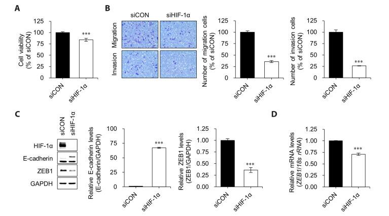 https://cdn.ncbi.nlm.nih.gov/pmc/blobs/d979/10762487/98e3b752b0a8/kjpp-28-1-83-f3.jpg
