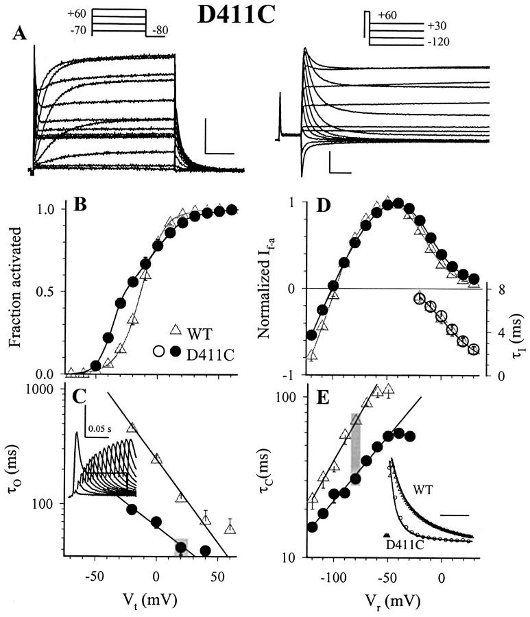 https://cdn.ncbi.nlm.nih.gov/pmc/blobs/d97a/2217355/4cb5092083d8/200308788f3.jpg