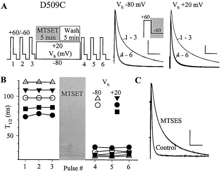 https://cdn.ncbi.nlm.nih.gov/pmc/blobs/d97a/2217355/970e9f4a947a/200308788f12.jpg