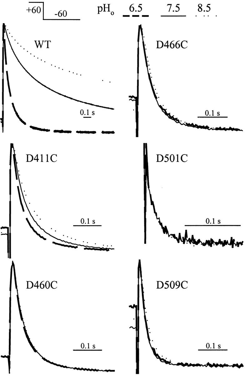 https://cdn.ncbi.nlm.nih.gov/pmc/blobs/d97a/2217355/a55ddf2a221b/200308788f13.jpg