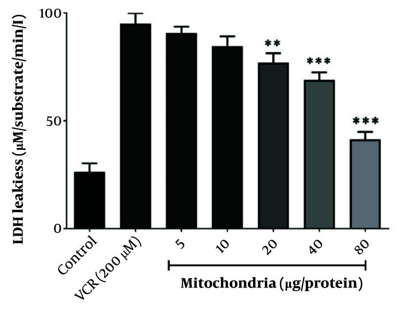https://cdn.ncbi.nlm.nih.gov/pmc/blobs/d97b/12308073/a1ce8016e6d5/ijpr-24-1-159628-i003.jpg