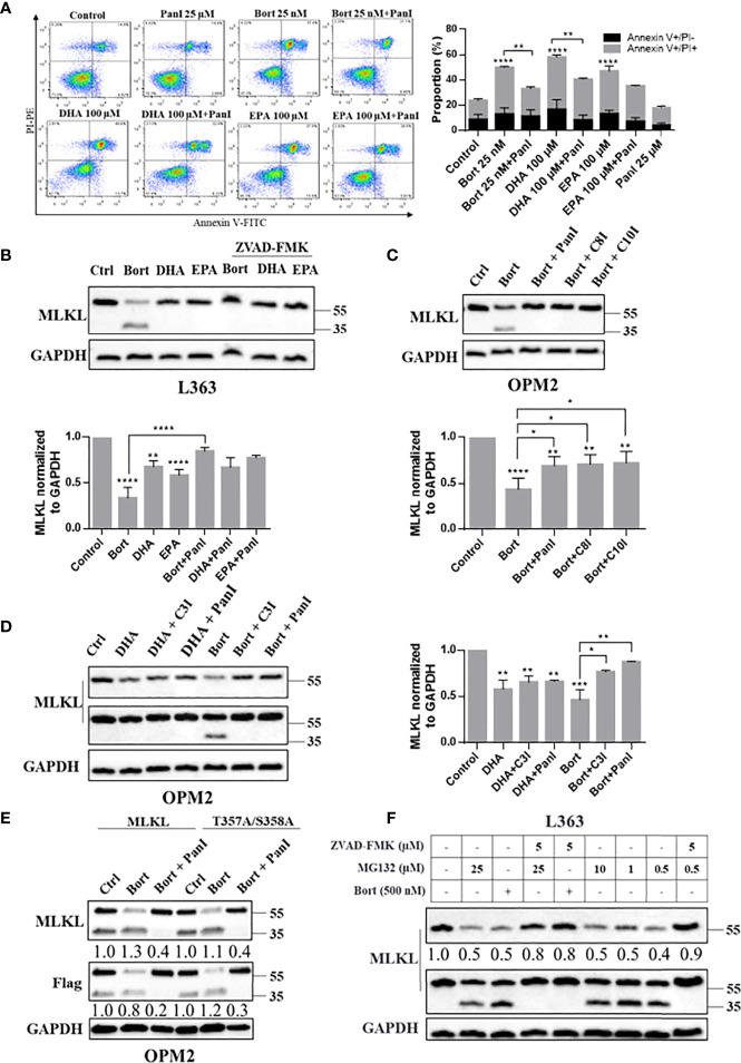 https://cdn.ncbi.nlm.nih.gov/pmc/blobs/d97b/9369655/21bf1f6a9dec/fonc-12-907036-g004.jpg