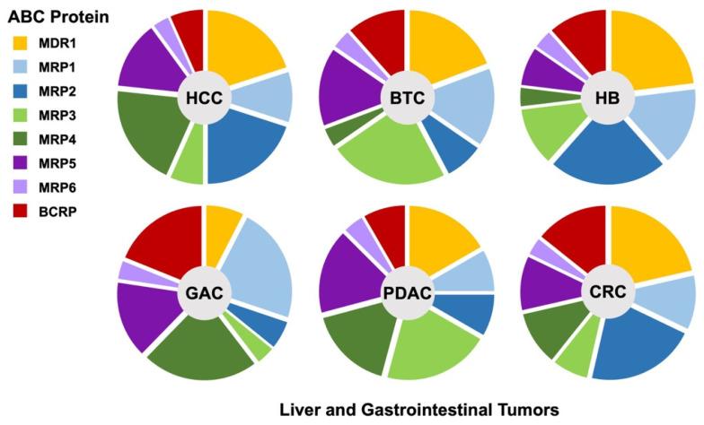 https://cdn.ncbi.nlm.nih.gov/pmc/blobs/d97c/9320734/794a12f20b18/cancers-14-03524-g001.jpg