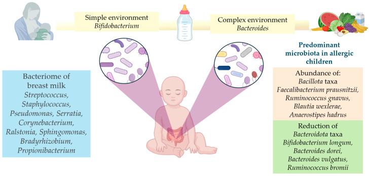 https://cdn.ncbi.nlm.nih.gov/pmc/blobs/d97d/11353207/db5d22b0b02a/children-11-01030-g001.jpg