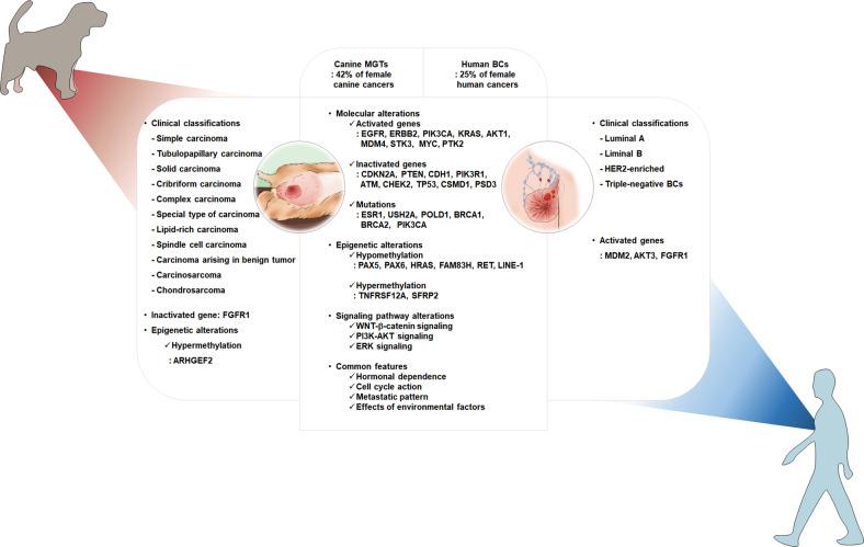 https://cdn.ncbi.nlm.nih.gov/pmc/blobs/d97e/10167357/a2b8e92e4df4/12276_2023_977_Fig4_HTML.jpg