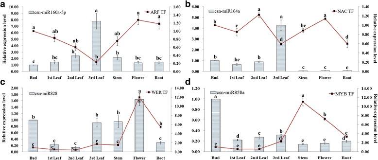 https://cdn.ncbi.nlm.nih.gov/pmc/blobs/d97e/5697157/4693115a2f54/12870_2017_1169_Fig10_HTML.jpg