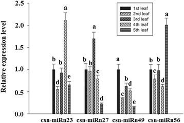 https://cdn.ncbi.nlm.nih.gov/pmc/blobs/d97e/5697157/dc7c3191b34e/12870_2017_1169_Fig5_HTML.jpg