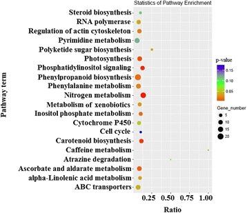 https://cdn.ncbi.nlm.nih.gov/pmc/blobs/d97e/5697157/dd5e88558fbf/12870_2017_1169_Fig7_HTML.jpg
