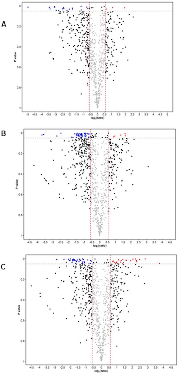 https://cdn.ncbi.nlm.nih.gov/pmc/blobs/d980/6240106/920c17cbefd6/41598_2018_35096_Fig2_HTML.jpg